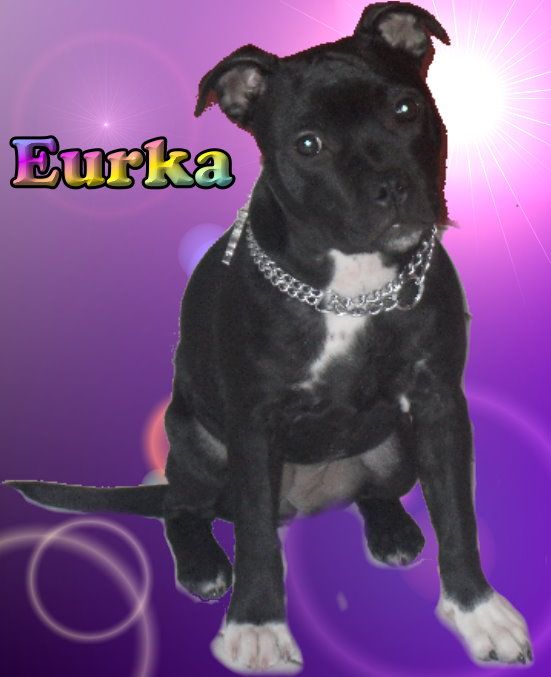 Eurka white socket.. By familystaff